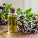 Экстракты в мыловарении и косметике Экстракты в мыловарении и косметике