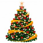 Pictures for the New Year