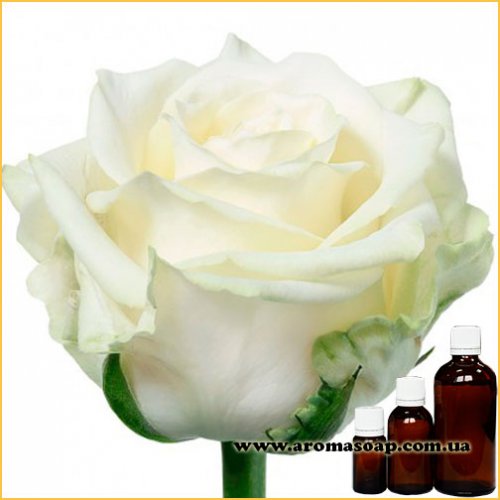 Троянда Біла запашка (ароматизатор)