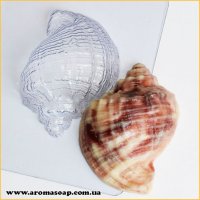 Ракушка/Рапан 55 г форма пластиковая