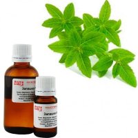 Verbena лимонна запашка