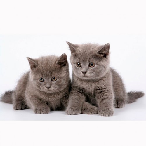 Картинка A-001