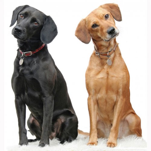 Картинка A-002