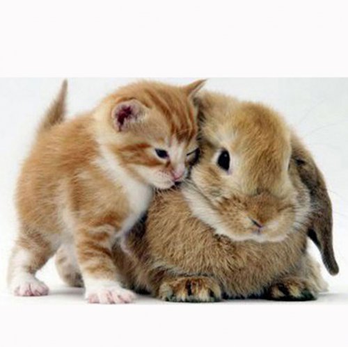 Картинка A-004