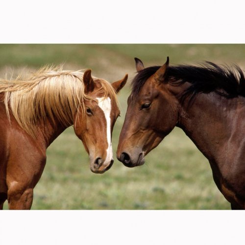 Picture on water-soluble paper A-006