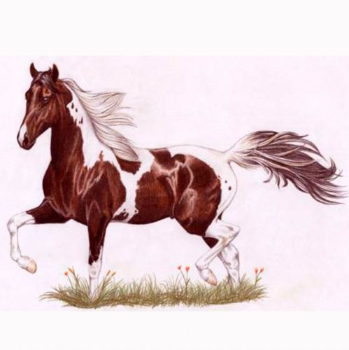 Картинка A-008