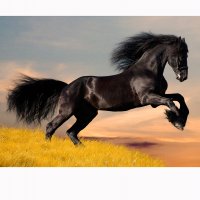 Картинка A-009