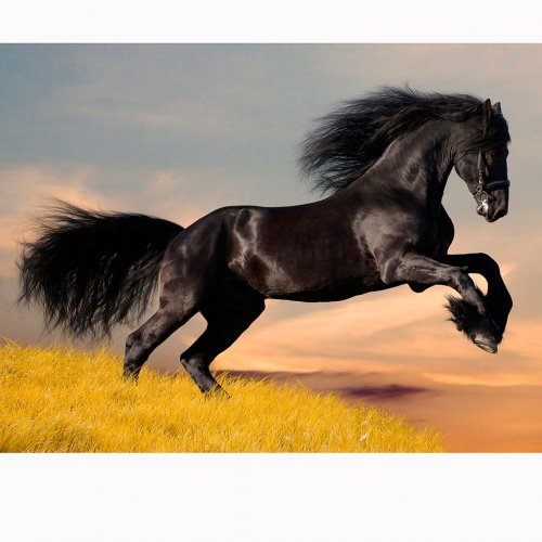 Картинка A-009