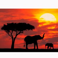 Картинка A-013