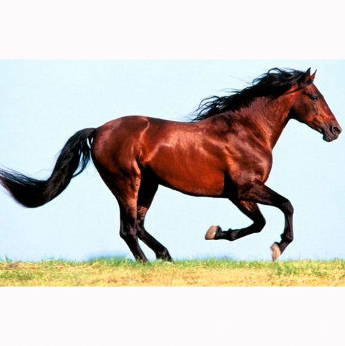 Картинка A-014