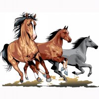 Картинка A-015