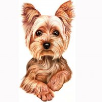 Картинка A-024