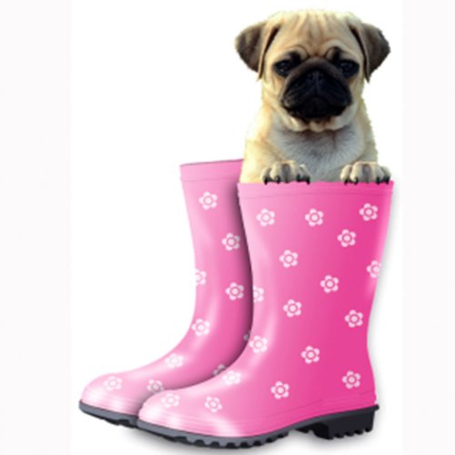 Картинка A-028