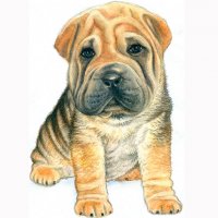 Picture on water-soluble paper A-030