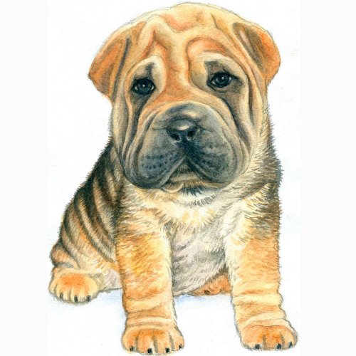 Картинка A-030