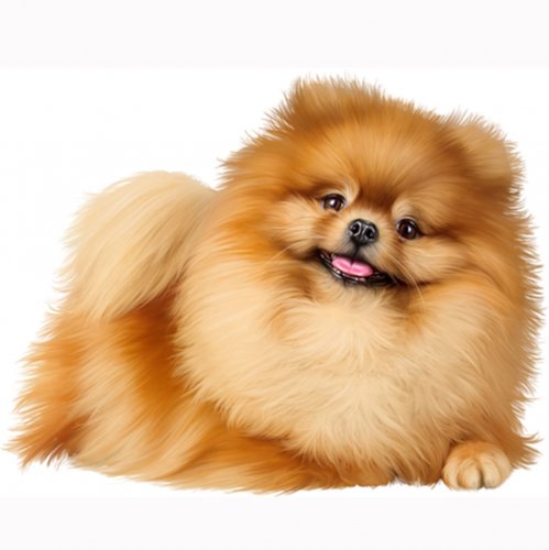 Картинка A-036