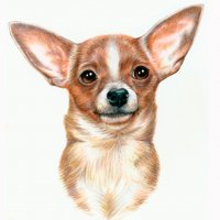 Картинка A-039