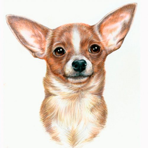 Картинка A-039