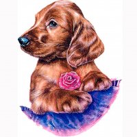 Картинка A-041