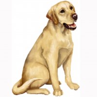 Картинка A-042