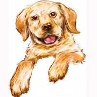 Картинка A-044