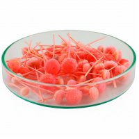 Батао стабилизированный розовый 2 г