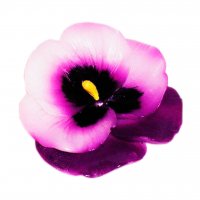 Pansies 3D silicone mold