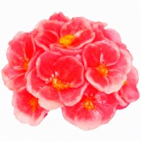 Букет Фиалок 3D элит-форма