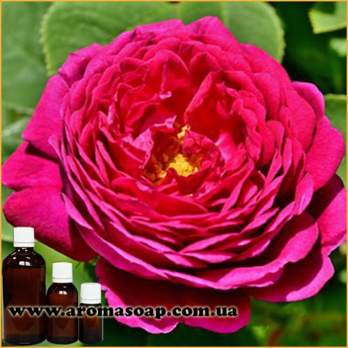 Чуттєва троянда запашка (ароматизатор)