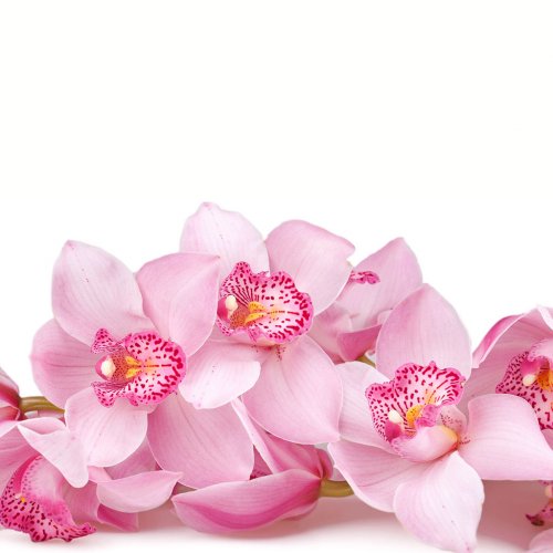 Картинка Cv-052