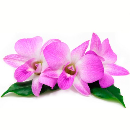 Картинка Cv-057