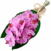 Картинка Cv-060