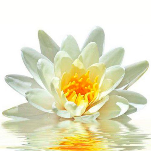 Картинка Cv-064