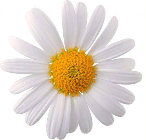 Картинка Cv-069