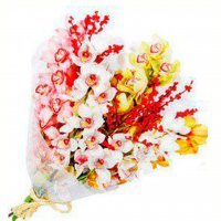 Картинка Cv-070