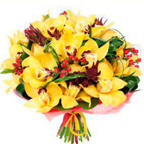 Картинка Cv-072