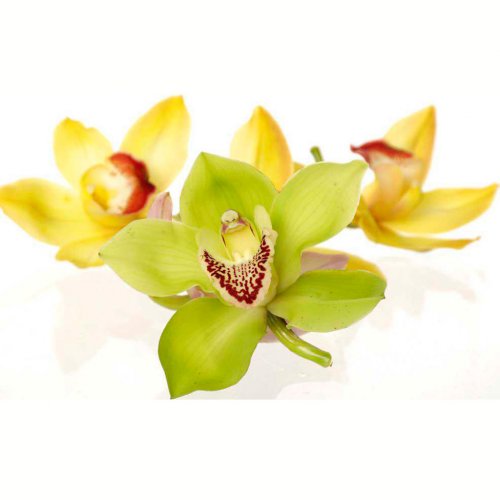 Картинка Cv-075