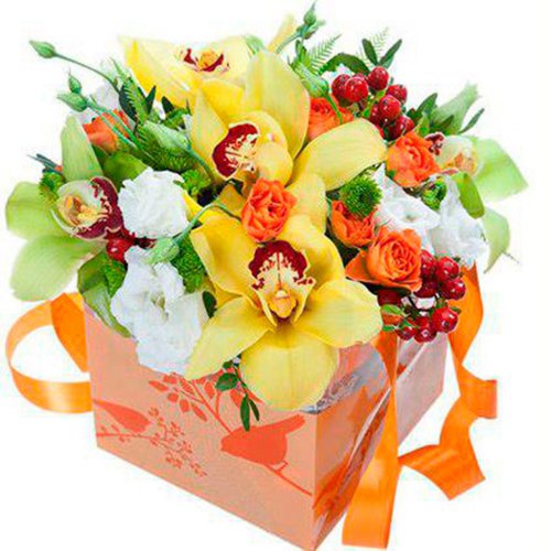 Картинка Cv-078