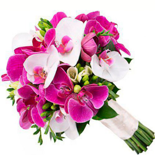 Картинка Cv-079