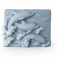 Дельфины элит-форма