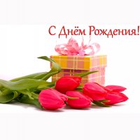 Картинка Dn-010