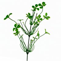 Добавка в букет 37 1 шт Зеленые листья