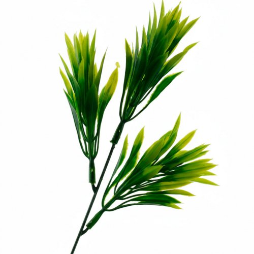 Bouquet accessory 23 1 piece with narrow leaves of Buckthorn