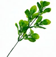 Bouquet accessory 62 1 pc Green olive branch