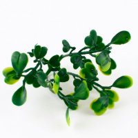 Bouquet accessory 48 5 pc