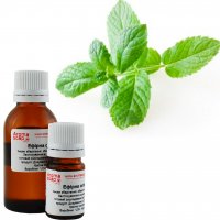 Lemon Balm Essential Oil Indonesia