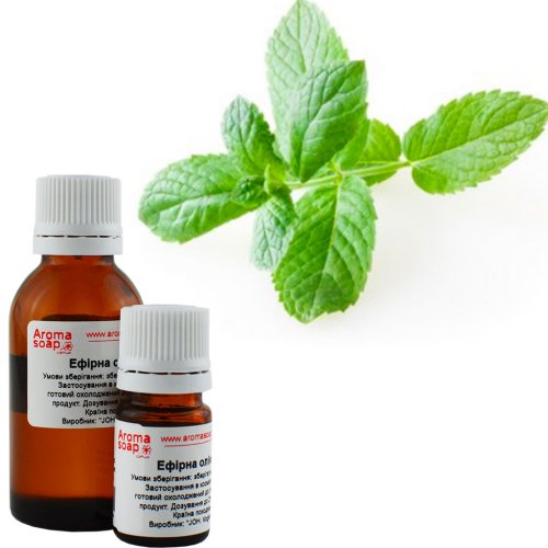 Lemon Balm Essential Oil Indonesia