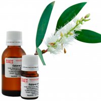 Niaouli essential oil Madagascar