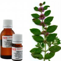 Peppermint essential oil India