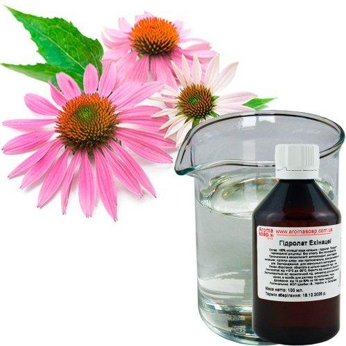 Echinacea hydrolate